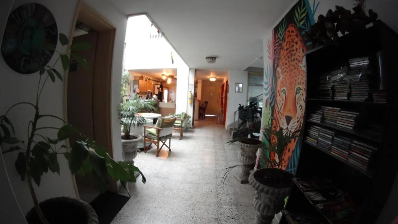 Basico Medellin Hostel